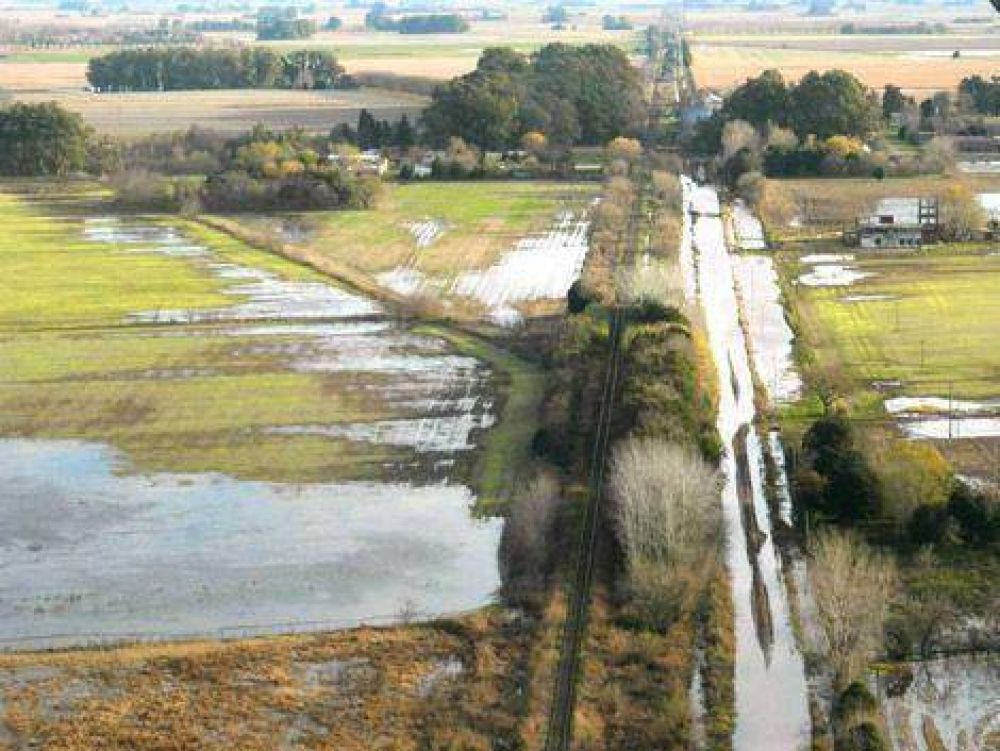 Al menos 120 productores estar�an en emergencia agropecuaria 