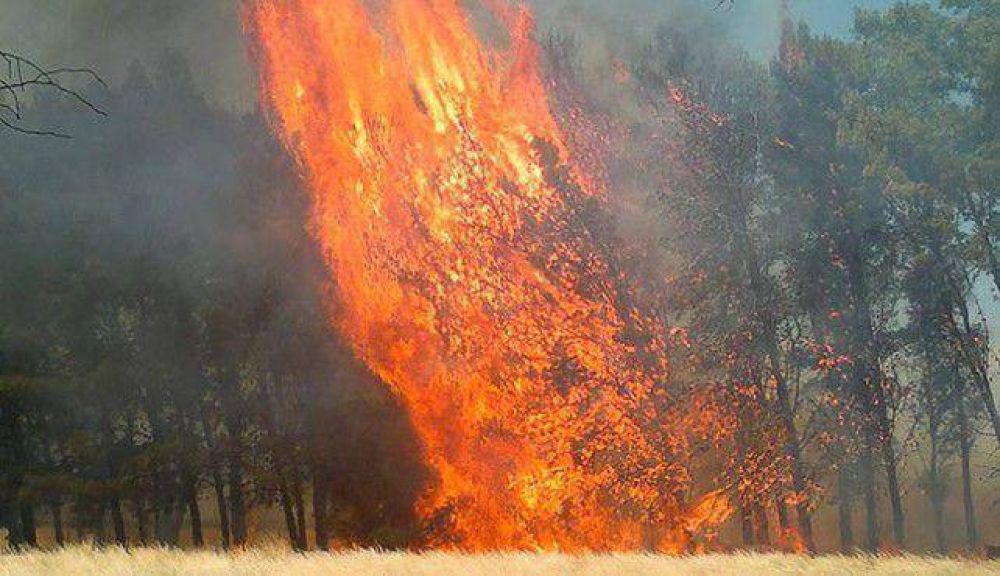 Ruralistas criticaron falta de ayuda tras incendios de enero