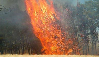 Ruralistas criticaron falta de ayuda tras incendios de enero