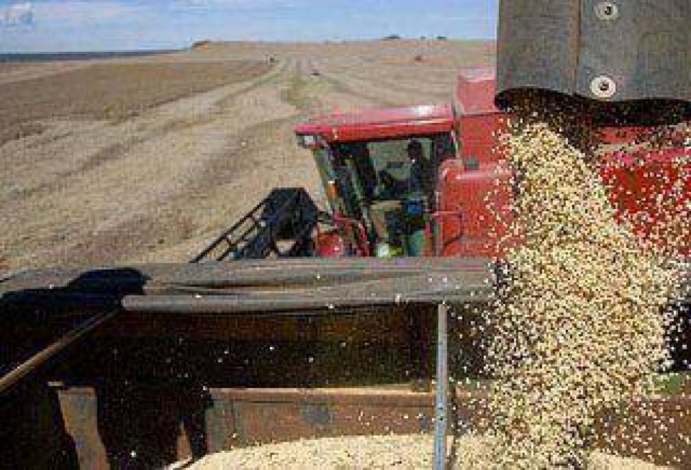 Termin� la cosecha de soja en Entre R�os