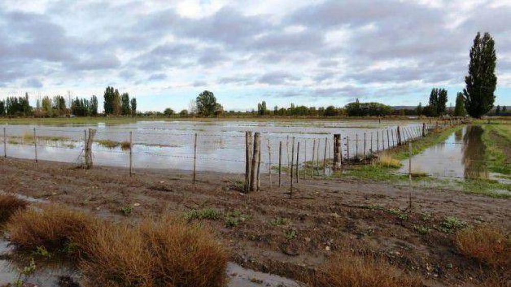 CORFO suspende cobro de cuotas y da financiamiento a productores del VIRCh afectados por lluvias