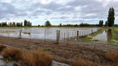 CORFO suspende cobro de cuotas y da financiamiento a productores del VIRCh afectados por lluvias