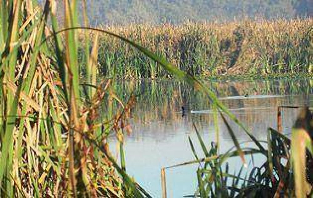 Llevar�n el proyecto por la Laguna de Rocha a la Legislatura bonaerense
