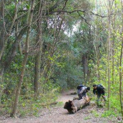 Pol�mica cesi�n de tierras de la UNLP