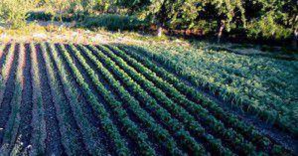 FAO promueve transitar hacia una agricultura climticamente inteligente