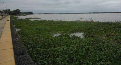 La crecida del r�o entr� en etapa de alerta
