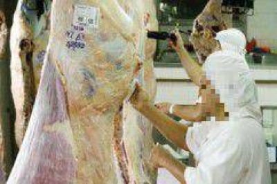 En Jujuy peligran puestos de trabajo del sector frigor�fico por el descenso en el consumo de carne vacuna