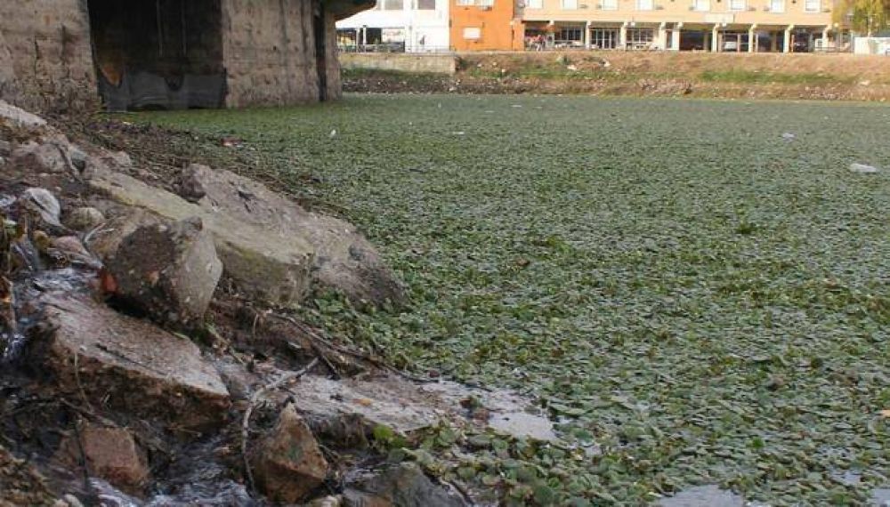 Prometen la �cosechadora� de algas para el lago San Roque