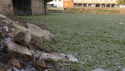 Prometen la �cosechadora� de algas para el lago San Roque