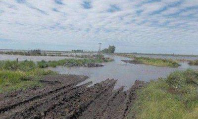 C�rdoba y Santa Fe quieren que Naci�n drague Canal San Antonio