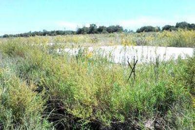 Barrio Luz y Fuerza: preocupaci�n de los adjudicatarios por el retraso en las obras