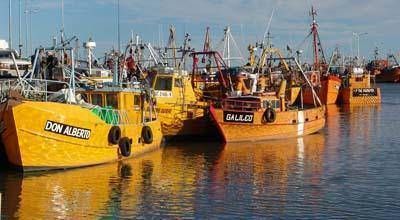 Siguen los desmanes en la pol�tica pesquera de Chubut