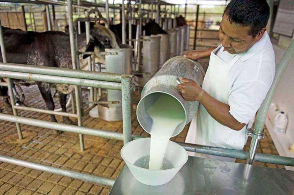 Posible desarrollo de la producci�n lechera en el sur