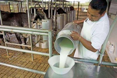 Posible desarrollo de la producci�n lechera en el sur