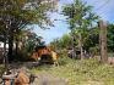Avanza en San Isidro la campa�a de poda