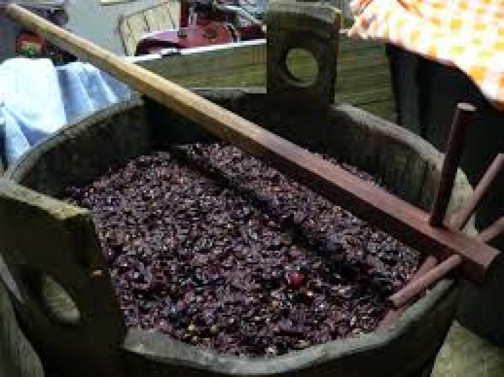 Mosto: en Tucum�n dicen que el consumo de gaseosa bajar�