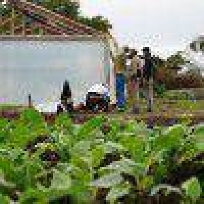 “Argentina Trabaja” fomenta la producción frutihortícola