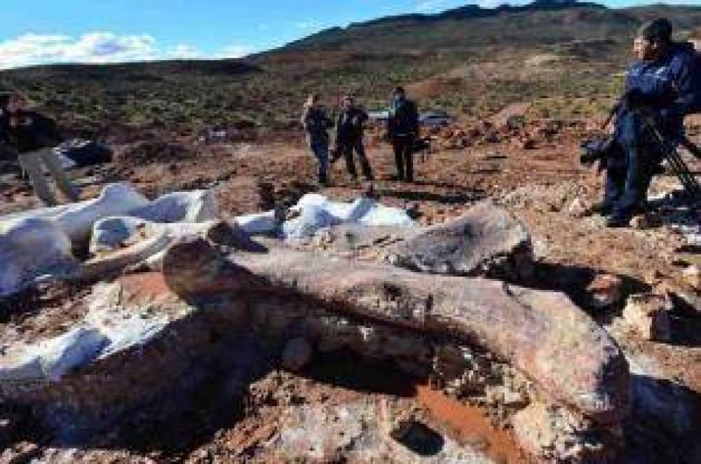 Descubren un dinosaurio tiranosaurio criollo