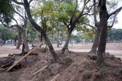 Parque Alberdi: el juez Sodero pidi� informes al municipio