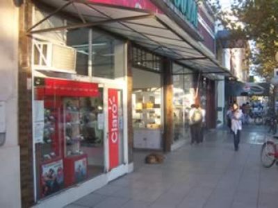 Locales: costos de alquileres complican el desarrollo de emprendimientos comerciales