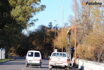 Colocaci�n de nuevas luminarias sobre calle Francisco de Viedma