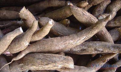 Las exportaciones desde Taiw�n pone en jaque la producci�n de mandioca