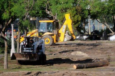 Parque Alberdi: el municipio prepara el informe para el juez