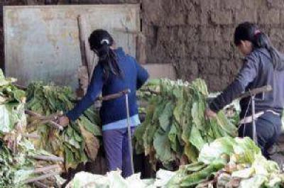Se refuerza la asistencia a los ni�os y j�venes rescatados de la explotaci�n laboral en una finca en G�emes