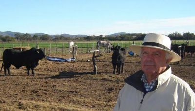 Quilpo Norte, sin�nimo de Brangus, juega fichas al desarrollo ganadero