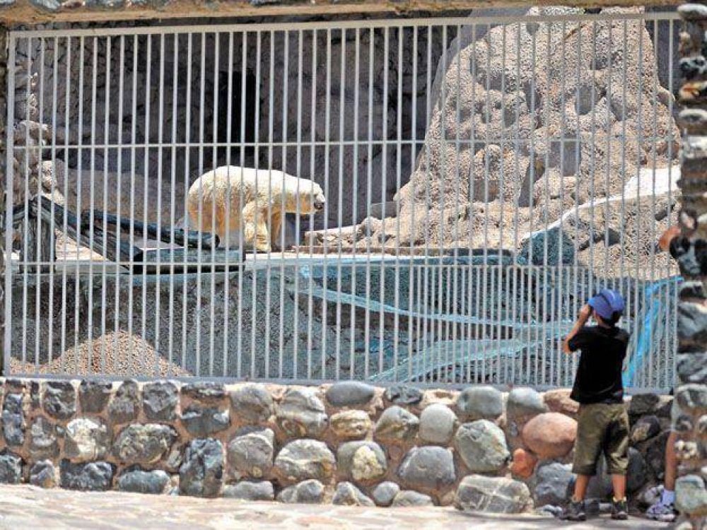 Así es el proyecto que pretende que el Zoo de Mendoza sea un ecoparque