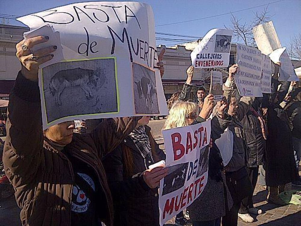Perros muertos: el municipio presentar denuncia en la fiscala