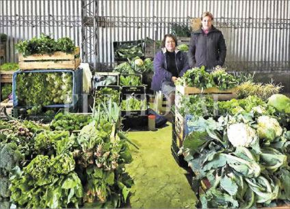 Con precios baratos, vuelve la feria de frutas y verduras