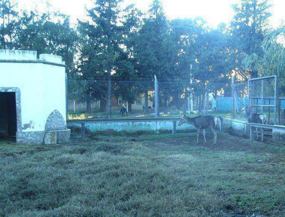 Se concret� el trasladado de los �ltimos animales del zool�gico