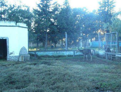 Se concret� el trasladado de los �ltimos animales del zool�gico