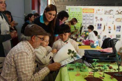 El pr�ximo lunes comienza la instancia escolar de la feria de ciencias