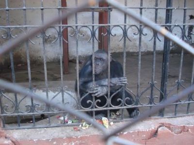 In�dita acci�n judicial en favor de una persona 