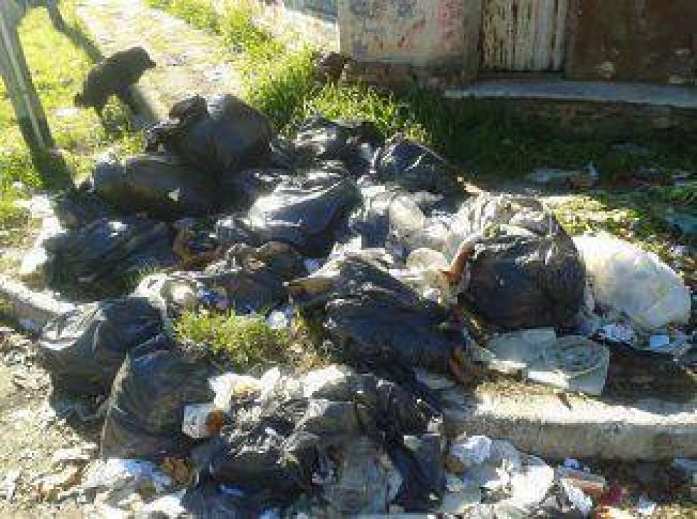 Basura en Bernal Oeste