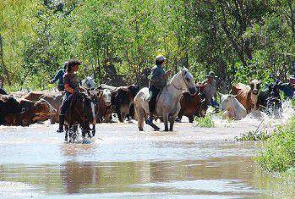 El fin de semana, el Paran� alcanzar�a nivel de evacuaci�n en la costa chaque�a