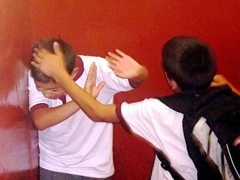Presentar�n gu�a federal contra el Bullying