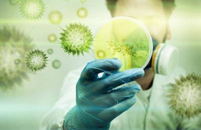 Subsidios para bioingenier�a, nanotecnolog�a y TIC�s