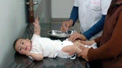 Lograron identificar el virus que afecta la salud de los beb�s 