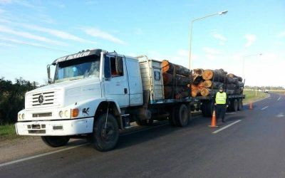 Secuestraron dos camiones cargados con le�a y algod�n sin las cartas de porte correspondiente