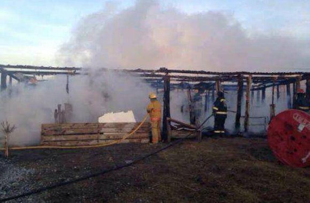 Devastador incendio en una chacra de Apymema