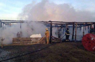 Devastador incendio en una chacra de Apymema
