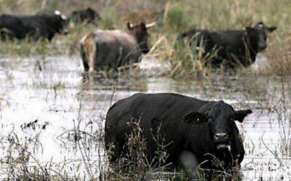 Sociedad Rural de Formosa solicit� la declaraci�n de Emergencia Agropecuaria