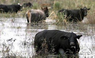 Sociedad Rural de Formosa solicit� la declaraci�n de Emergencia Agropecuaria