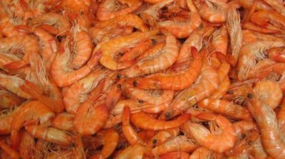 Barrera sanitaria para los env�os de langostino a China
