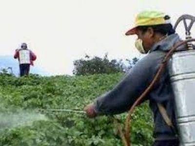 LA DEFENSOR�A DEL PUEBLO ADVIERTE POR EL USO DE AGROQU�MICOS