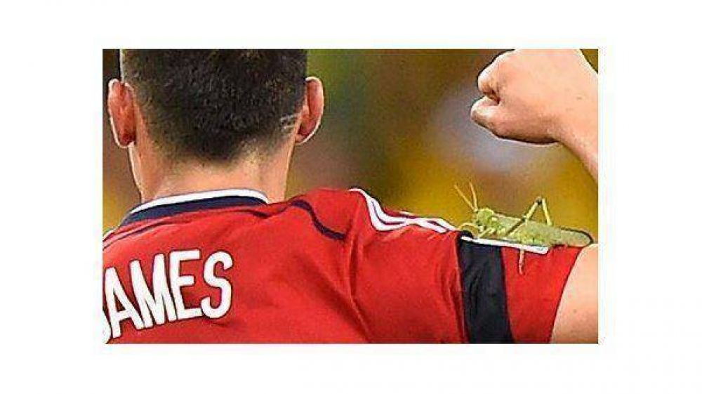Un grillo se pos� en el hombro de James Rodr�guez en pleno festejo cafetero