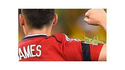 Un grillo se pos� en el hombro de James Rodr�guez en pleno festejo cafetero